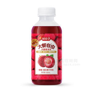 鮮點(diǎn)子大餐自由楊梅復(fù)合果汁飲料500ml