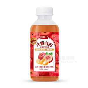 鲜点子大餐自由山楂+陈皮复合果汁饮料500ml
