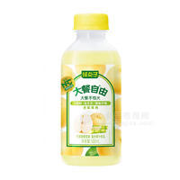 鲜点子大餐自由竹蔗茅根雪梨复合果汁饮品500ml