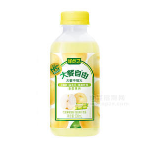 鮮點子大餐自由竹蔗茅根雪梨復(fù)合果汁飲品500ml