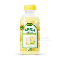 鮮點子大餐自由竹蔗茅根雪梨復(fù)合果汁飲品500ml