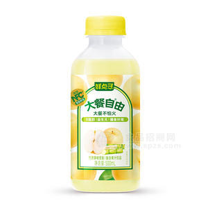 鮮點(diǎn)子大餐自由竹蔗茅根雪梨復(fù)合果汁飲品500ml