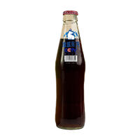 冰城菓汽老汽水可乐口味饮料瓶装招商270ml