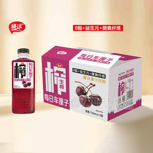 榜洋每日车厘子生榨复合果汁饮料招商750ml×15瓶