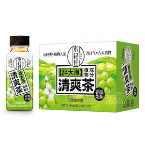 小輕甘胖大海植物成分清爽茶青提茉莉招商245ml×10瓶