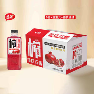榜洋每日石榴生榨复合果汁饮料招商750ml×15瓶石榴汁