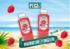 長益50%樹莓復(fù)合果汁飲料