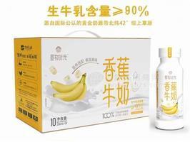 垦牧时光香蕉牛奶生牛乳发酵牛奶饮品230ml
