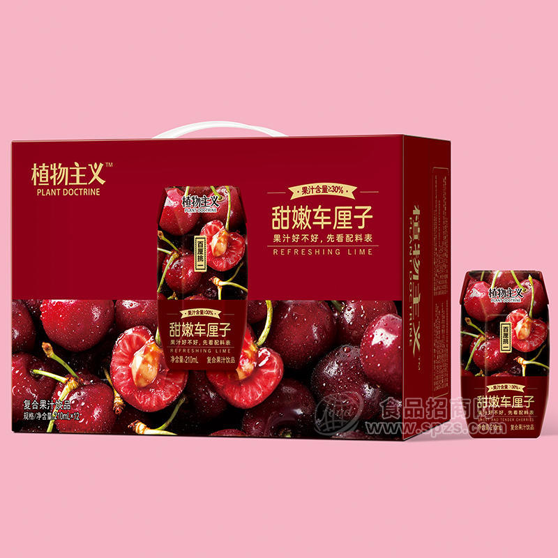 植物主義甜嫩車(chē)?yán)遄訌?fù)合果汁飲品招商210ml×12