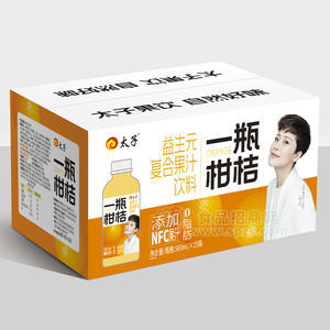 太子一瓶柑桔益生元復(fù)合果汁飲料招商500ml×15瓶