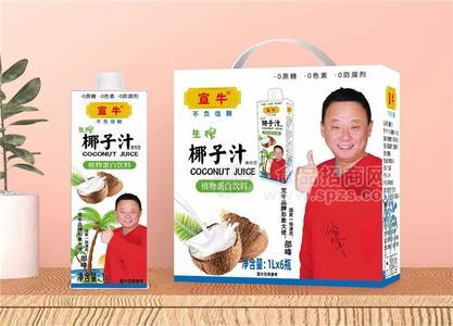 宣牛生榨椰子汁植物蛋白饮料