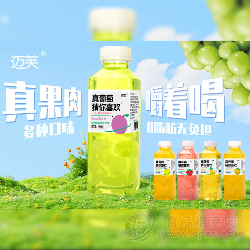 迈芙真果肉复合果汁饮料招商480ml