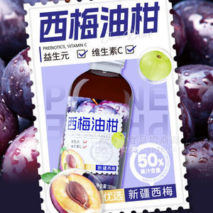 蜗旅西梅油柑复合果汁饮料500ml