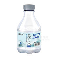 荔子园原味味苏打水饮料瓶装招商360ml