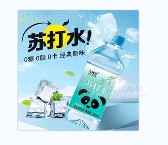 九鯉岔蘇打水零蔗糖無(wú)汽蘇打飲料350ml