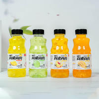 拥抱青春混合口味复合果汁饮料真果真肉瓶装招商360ml