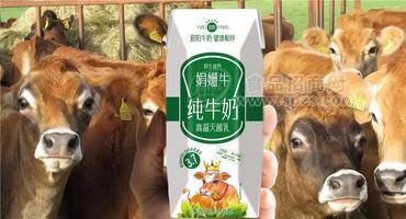 迎阳娟姗牛纯牛奶原生高钙牛奶饮品250ml