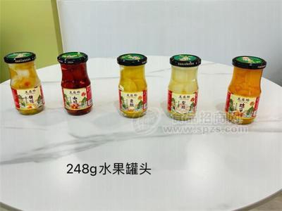 王员外248g水果罐头