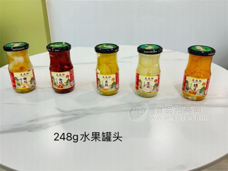 王员外248g水果罐头