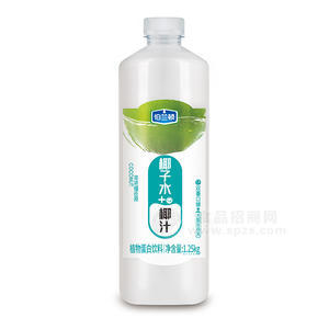 伯蘭頓椰子水＋椰汁植物蛋白飲料招商1.25kg