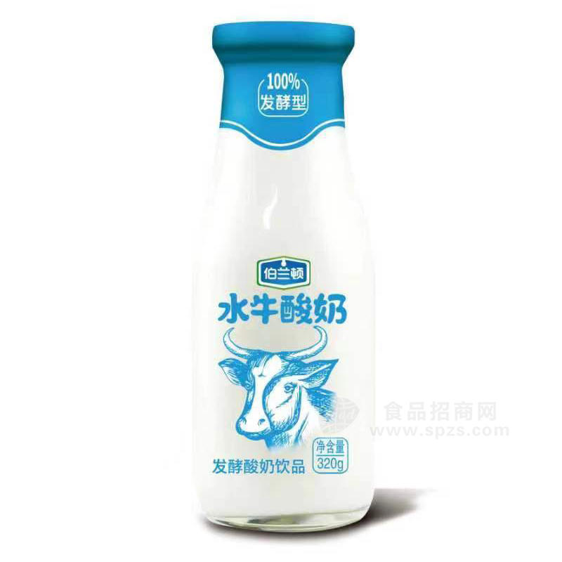 伯蘭頓水牛酸奶發(fā)酵酸奶飲品招商320g