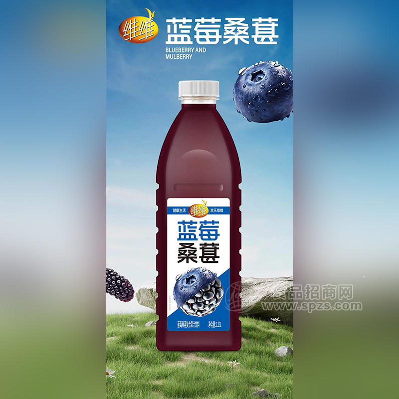 維維藍(lán)莓桑葚復(fù)合果汁飲料招商1.25L