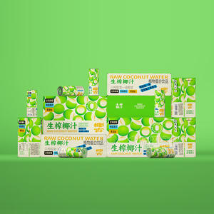 椰吉生榨椰汁植物蛋白饮品箱装招商245ml×24瓶