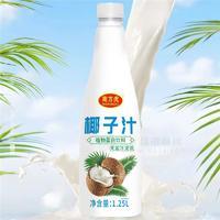 南方虎椰子汁植物蛋白饮料1.25L