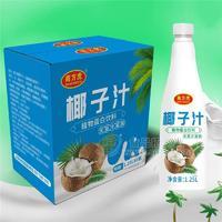 南方虎椰子汁植物蛋白飲料1.25L×6瓶餐飲飲料