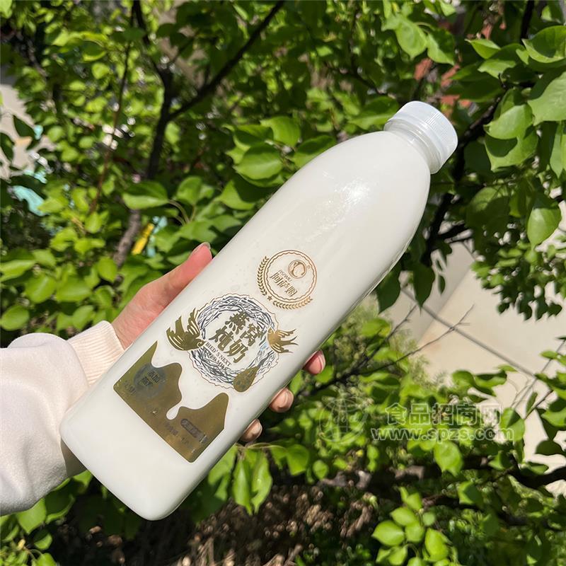 阿萨姆燕窝炖奶发酵酸奶饮品0添加蔗糖