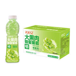 KLXZ大果肉蜂蜜葡萄復(fù)合果汁飲料箱裝招商500ml×15瓶