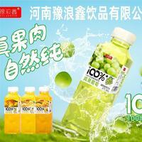 豫浪鑫100%真果肉系列復合果汁飲料混合口味瓶裝招商500m