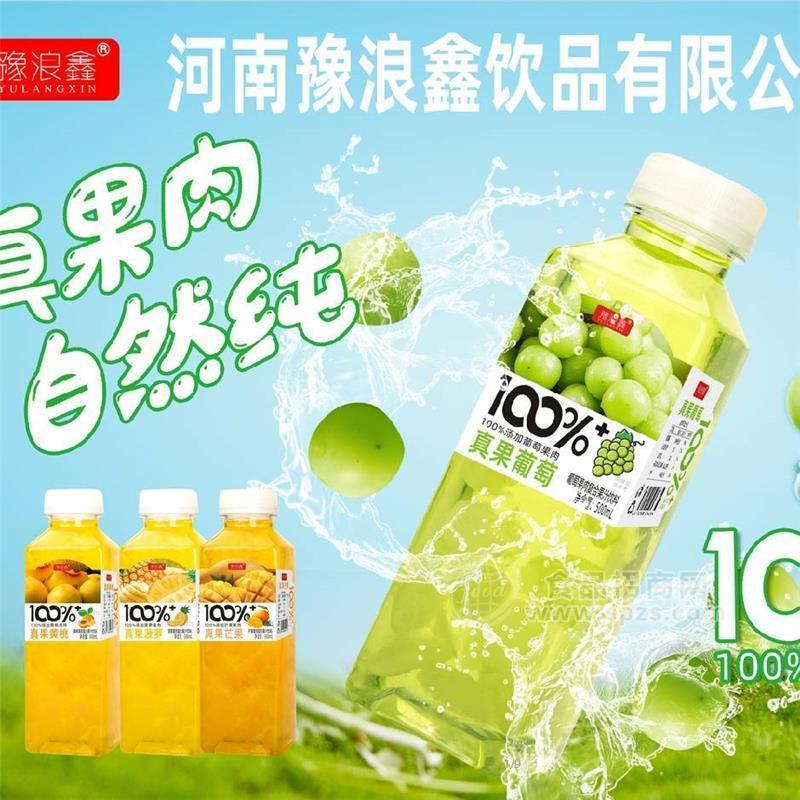 豫浪鑫100%真果肉系列复合果汁饮料混合口味瓶装招商500m 