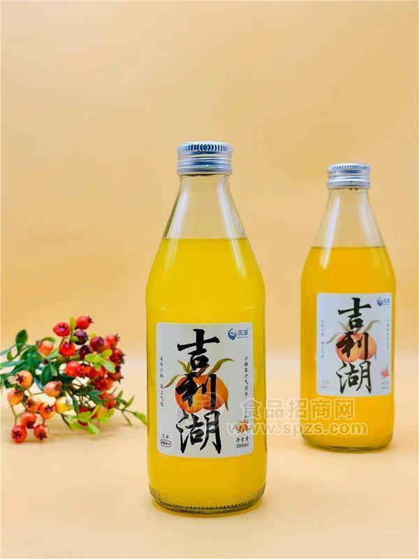 吉利湖沙棘果汁氣泡水