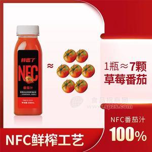鲜番了NFC番茄汁植物饮料330ml