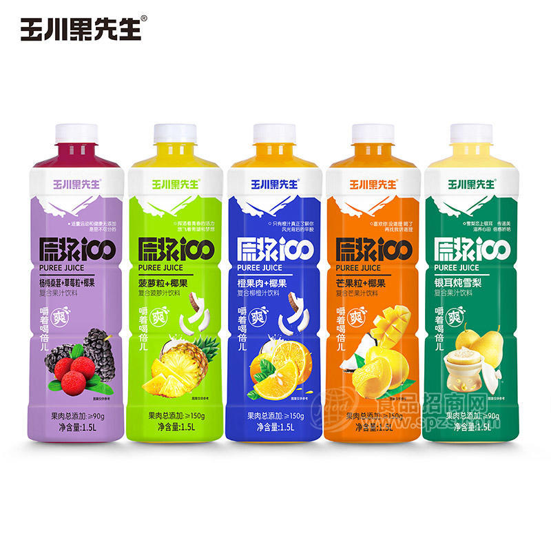 玉川果先生复合果汁饮料混合口味瓶装招商1.5L