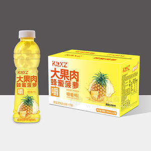 KLXZ大果肉蜂蜜菠蘿復(fù)合果汁飲料箱裝招商500ml×15瓶