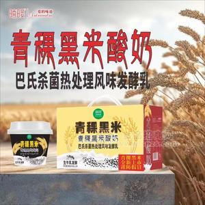 暿暥青稞黑米酸奶200g×12杯巴氏殺菌發(fā)酵乳