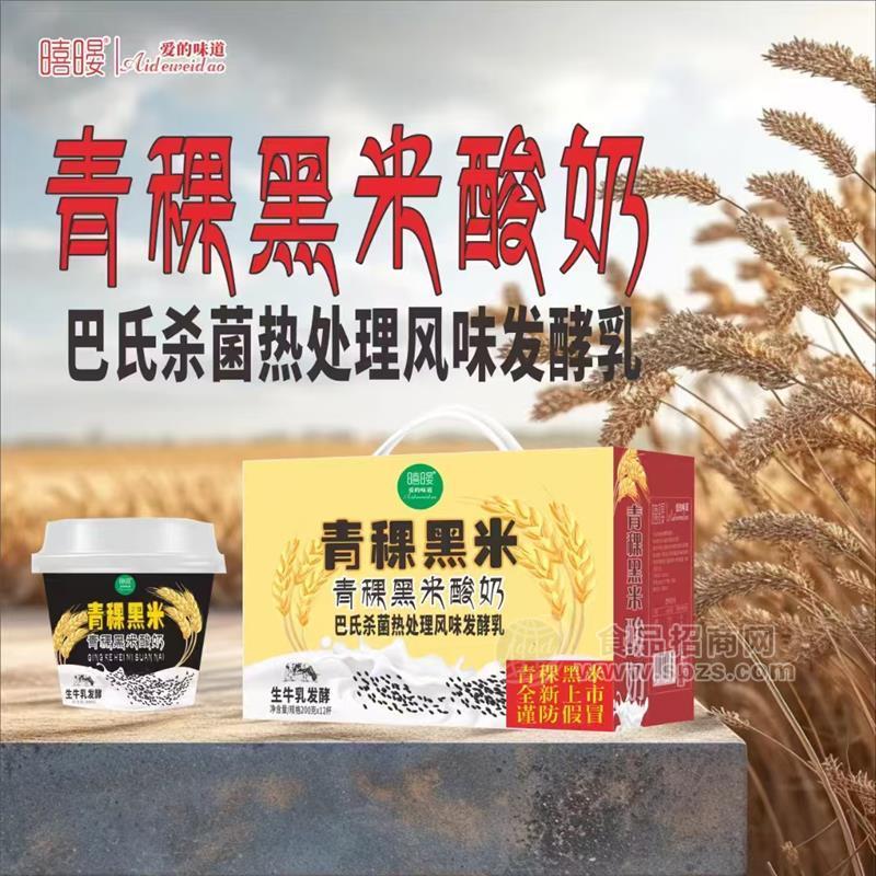 暿暥青稞黑米酸奶200g×12杯巴氏杀菌发酵乳