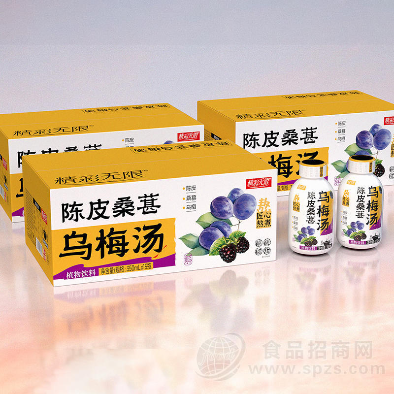 精彩无限 陈皮桑葚乌梅汤植物饮料箱装招商350ml×15瓶
