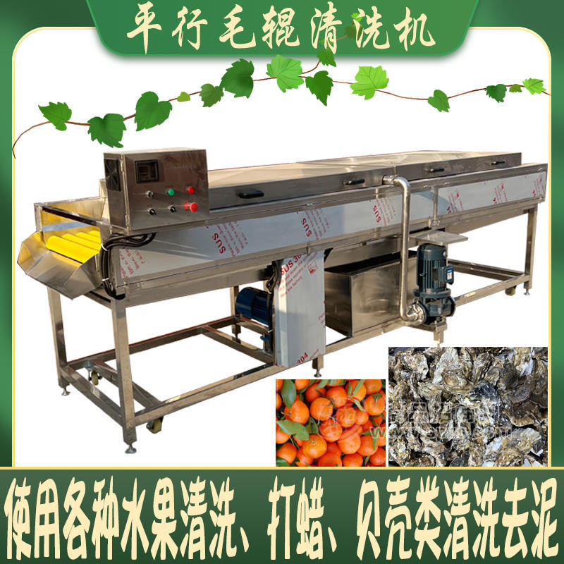 平行毛輥清洗機(jī)大型夏威夷果山楂核桃清洗流水線多功毛刷清洗設(shè)備