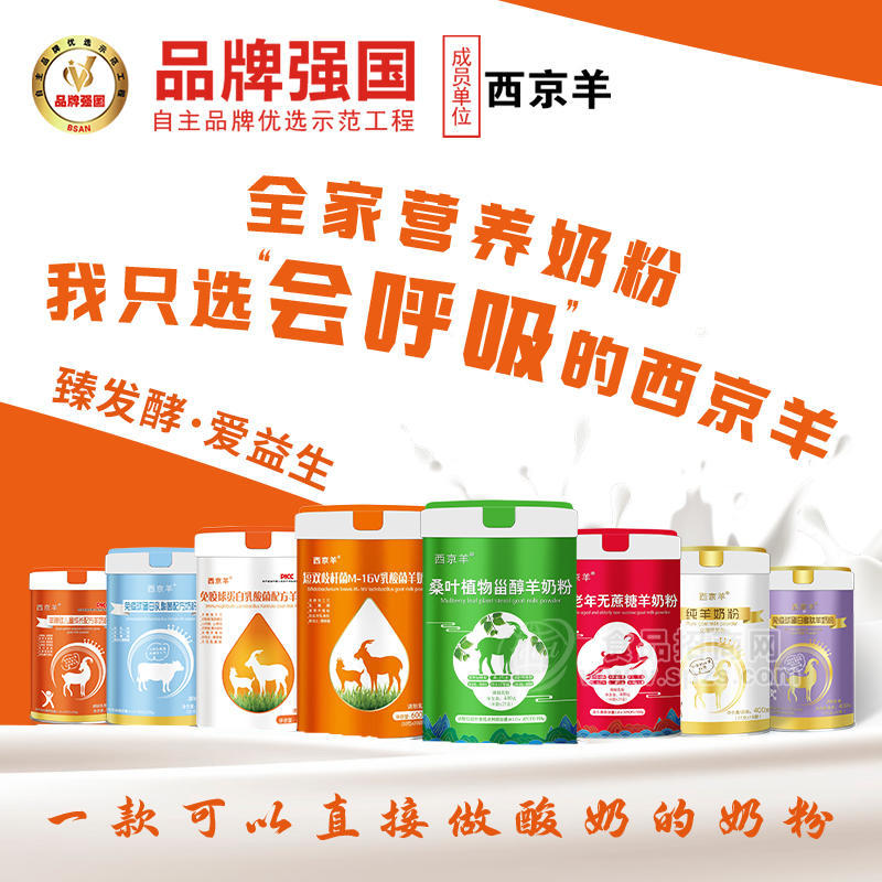西京羊羊奶粉可以直接做酸奶桶裝招商