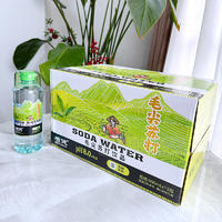 增健无菌灌装毛尖苏打饮品600mlx15瓶