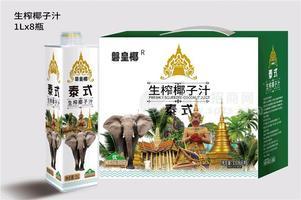 海南椰子汁方盒椰子汁