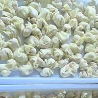 江西南昌鑫金凤手工鲜肉大馄饨