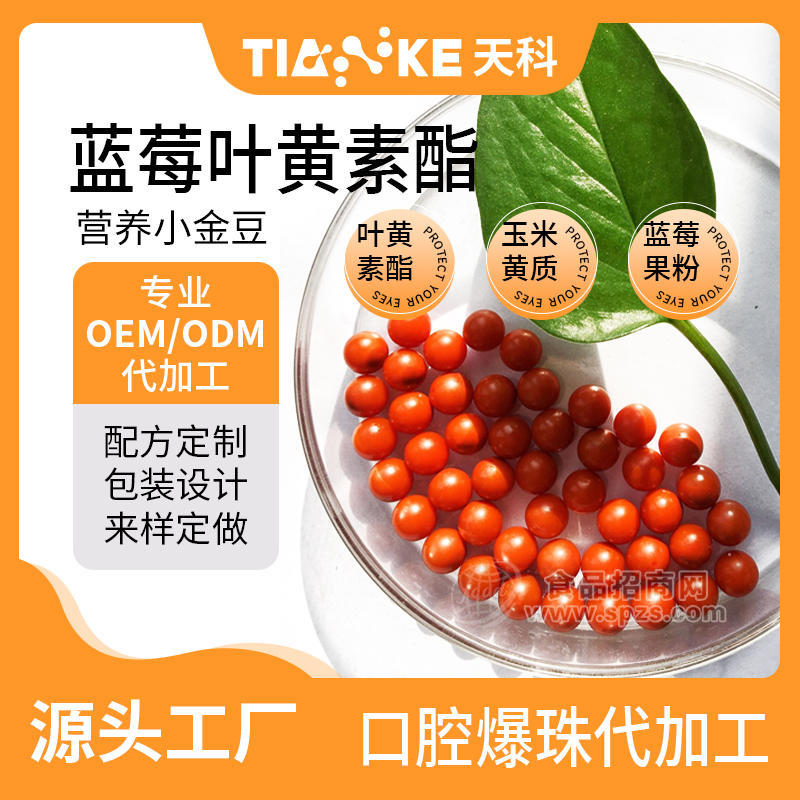 代工 贴牌 三秒含化无糖型蓝莓叶黄素小滴丸爆珠