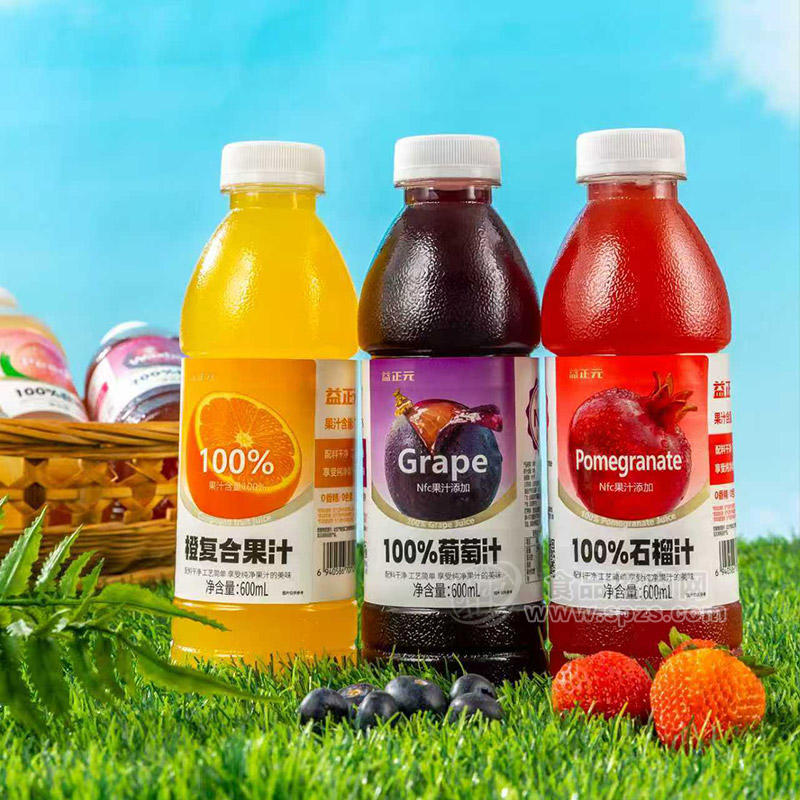 益正元NFC多种口味100%果汁饮料600ml