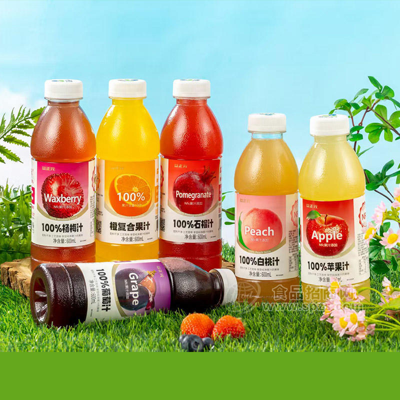 益正元多种口味100%果汁饮料600ml