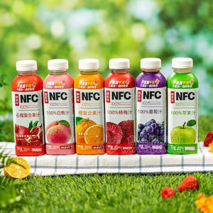 益正元多种口味果汁饮料500ml