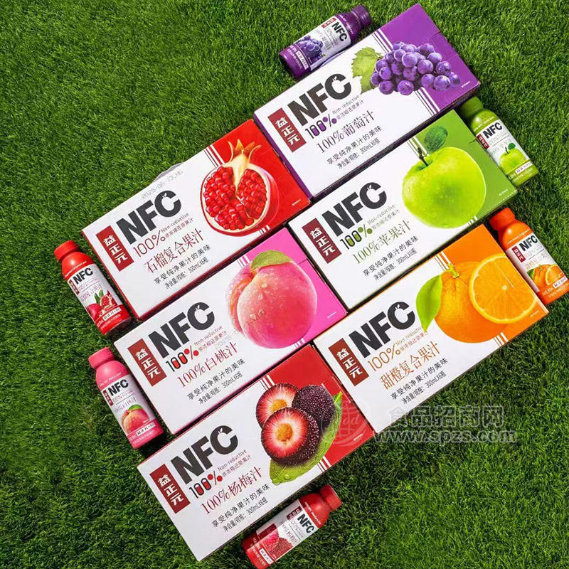 益正元NFC100%多种口味果汁饮料300mlx6瓶